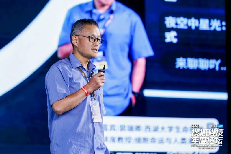 回眸2024·高质量推动成绩单